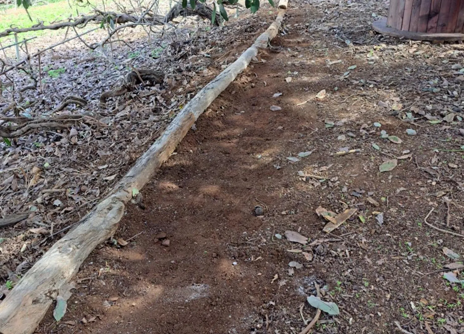 Finca Mamposo Tacoronte 0*,